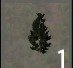 treeJuniper4m.jpg